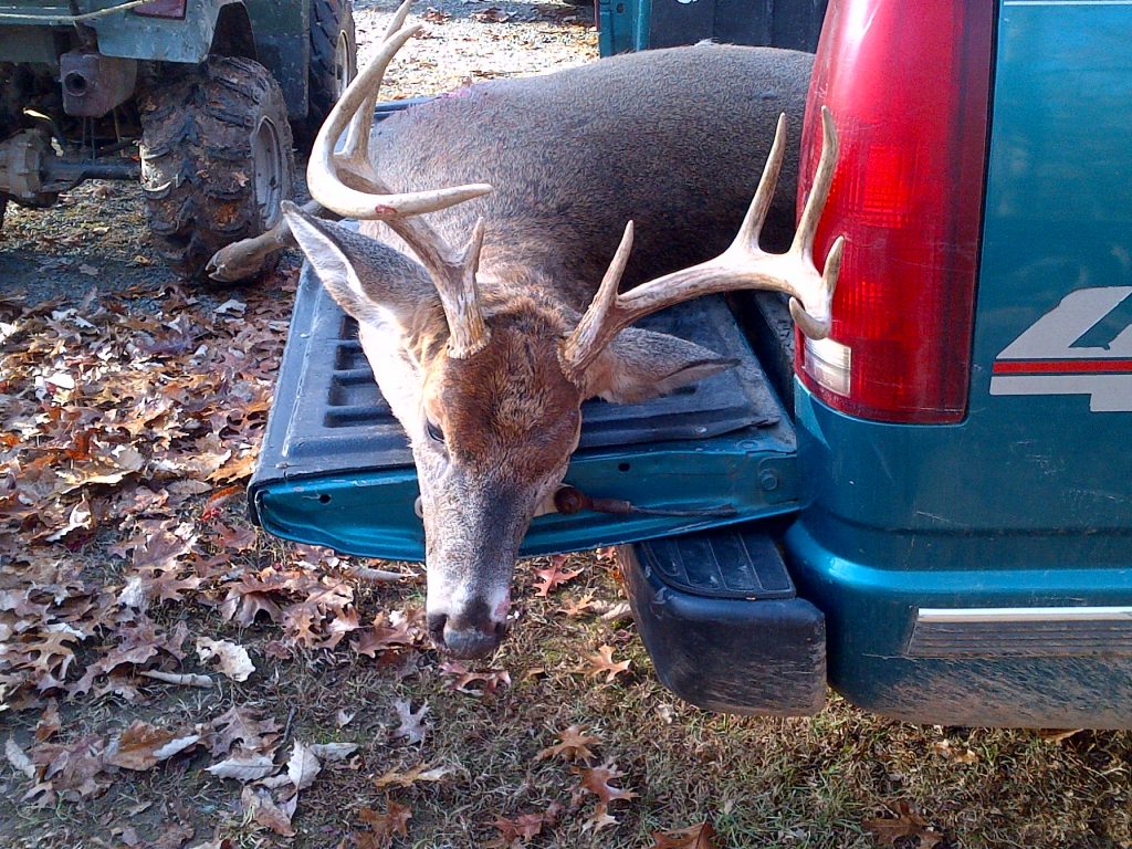 Northern VA Bird Hunting Preserve Guided, NonGuided Rose Hill Game